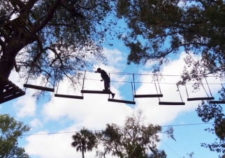 ZoomAir Treetop Adventure Park